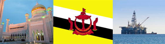 Page Starter Brunei